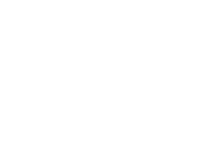 Vantiv Logo